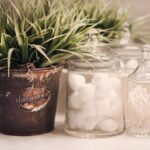 Home Storage - shallow focus photo of green plants beside clear glass jar