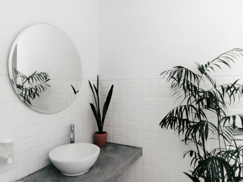 Bathroom Plants - plant beside sink under mirror inside room
