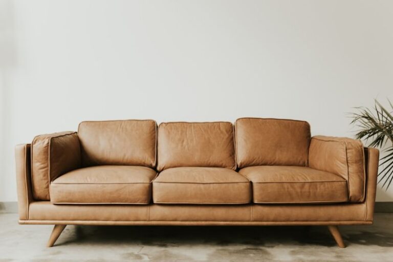 What Sofa Style Is Best for a Modern Living Room?