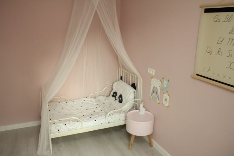 Children's Room - toddler's bed with mesh canopy